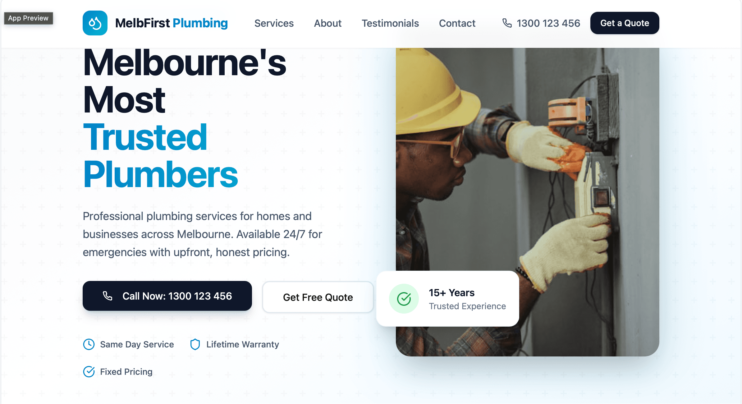 Pro Plumbing Services